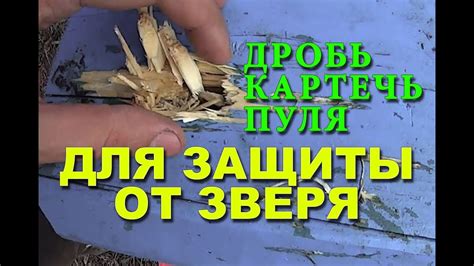 Какой патрон эффективней для защиты от зверя в лесу? Дробь Картечь или ...