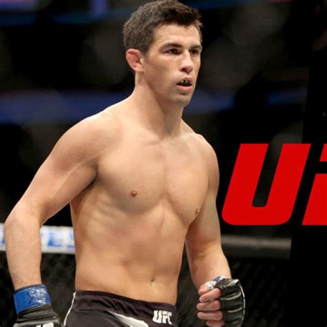 Доминик Круз «Доминатор» (Dominick Cruz): статистика боев, рост, вес ...