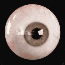 eye gifs tenor