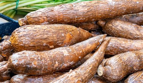 Cassava Root Yucca Root Dessert - Etsy