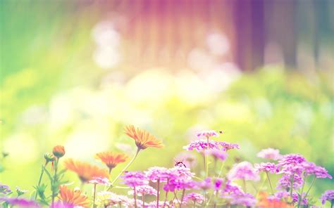 pastel spring desktop wallpaper 1