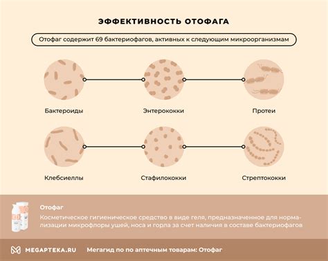 Отофаг гель и спрей для детей и взрослых, аналоги | Мегаптека