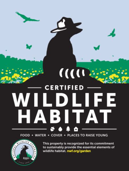 Go Wild! How to Certify Your Backyard as Wildlife Habitat - Earth911.com