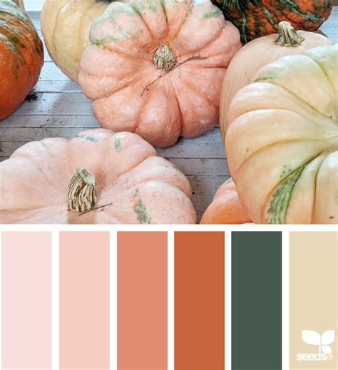 Design Seeds | Bloglovin’ | Design seeds, Seeds color, Color palette design