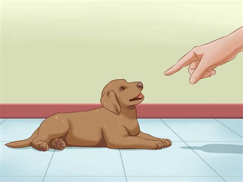 Is It Hard To Train A Deaf Puppy