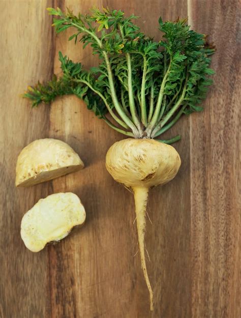 maca root natures energy booster buckners botanica