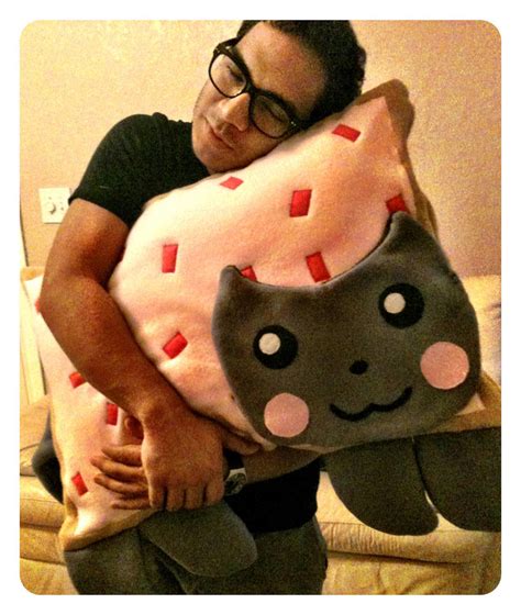 Nyan Nyan cat pillow by strawberry-zombies on DeviantArt