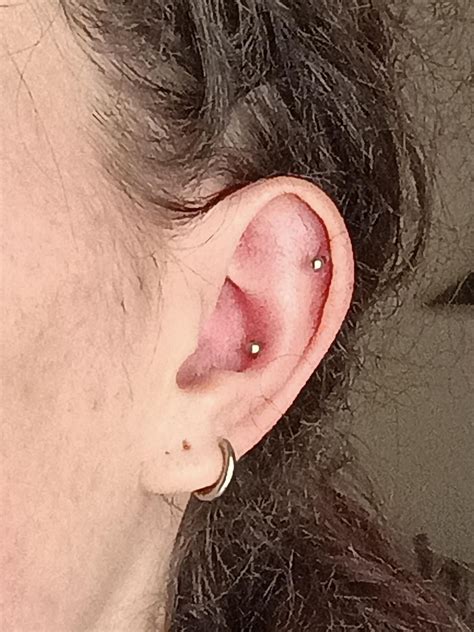 HEEELP, IS THIS SWELLING NORMAL? : r/PiercingAdvice