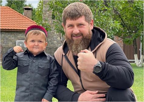 MMA.BG - Медия №1 за бойни спортове и магазин за хранителни добавки и ...