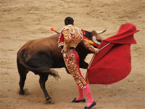 Torero by oroquileseye on DeviantArt