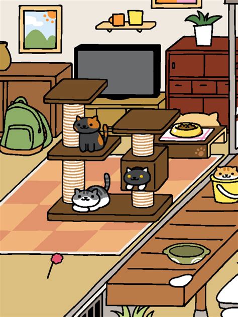 rare cats neko atsume 11