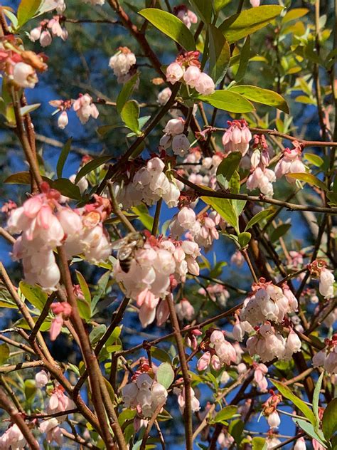 2025 Budget Retreat Afternoon Session | 2025 Budget Retreat Afternoon