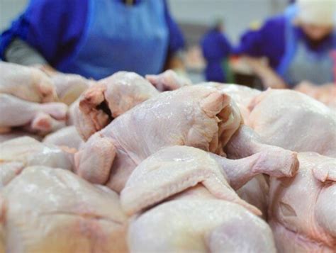 Азербайджан будет поставлять в Китай мясо птицы — Haqqin