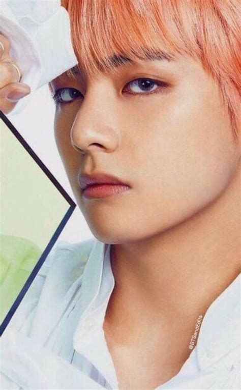kim tae hyung wiki btsxnct amino