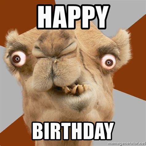 Crazy Happy Birthday Memes Happy Birthday Crazy Camel Lol Meme ...