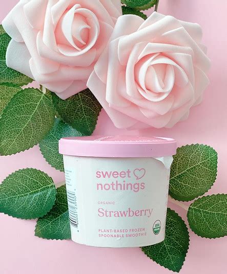 The Best Certified Organic Ice-Cream Brands | PrettyOrganicGirl