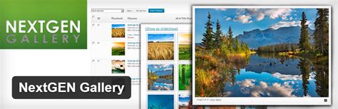gallery plugins  wordpress themetrust