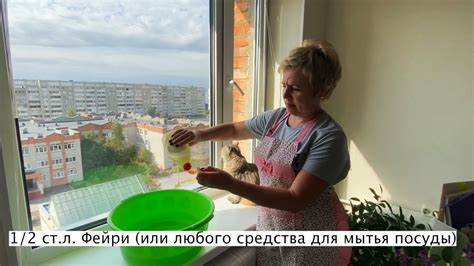 Как мыть окна и полы, чтобы они дольше оставались чистыми