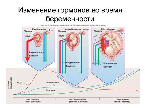 Половые гормоны - презентация онлайн