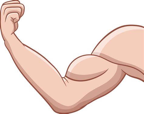 Muscle arm drawing clipart 26750502 PNG