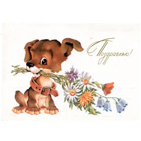 Soviet Greeting postcards for sale
