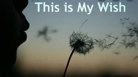 perspectives   writer