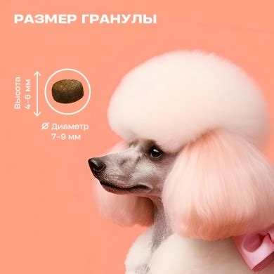 "Wellement" с индейкой и кроликом сухой корм для взрослых собак мелких ...