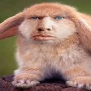 Create meme "smooth valakas rabbit, Kroll valakas, krol valakas ...
