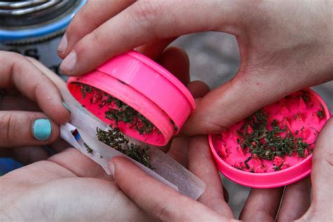 En Maryland, EE.UU, anularán 175.000 condenas por consumo de marihuana