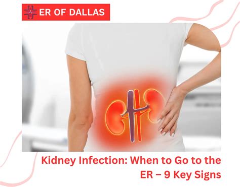 Signs of Kidney Infection: When to Go to ER – 9 Key Signs