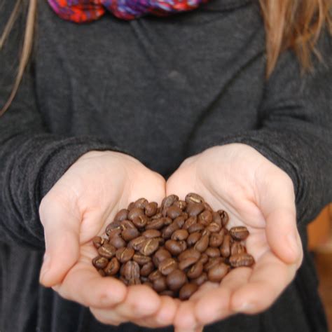 Cool Beans House Blend- Cool Beans Coffee Roasters