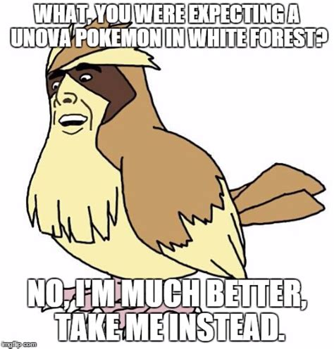 Handsome Pidgey - Imgflip