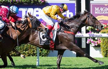 Cappo To Capitalise In The Detonator - Ozrace