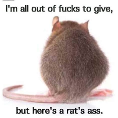 1000+ images about Funny Stuff on Pinterest