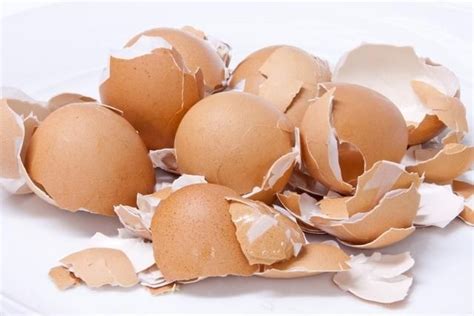 Skorupki jaj | Egg shells, Eating eggs, Calcium rich foods