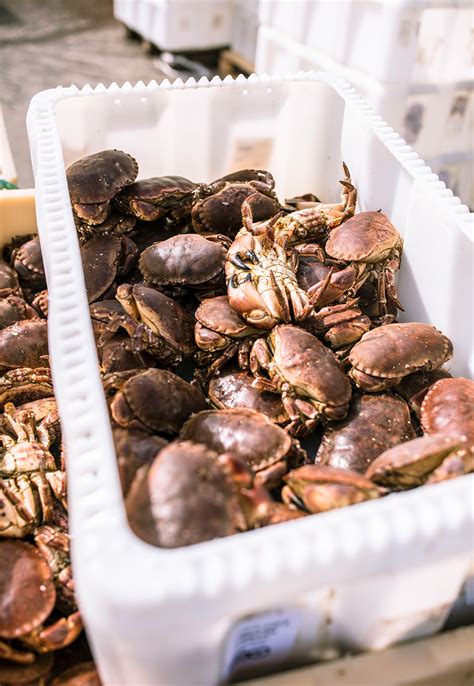 local produce explore trondelag