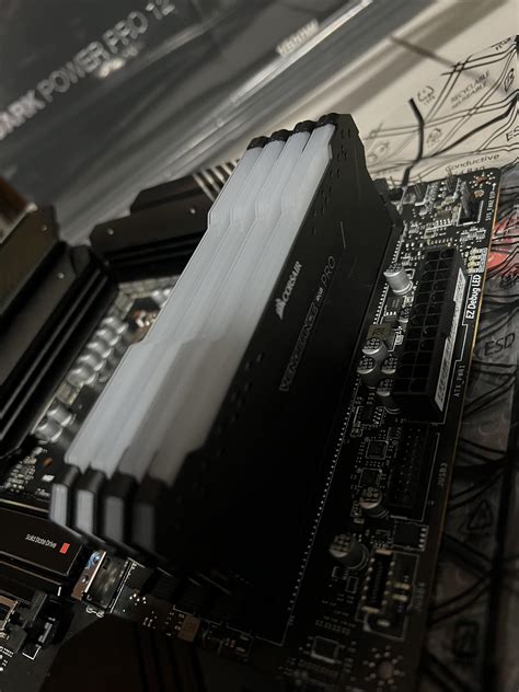 Pics Of Naked Pornstars