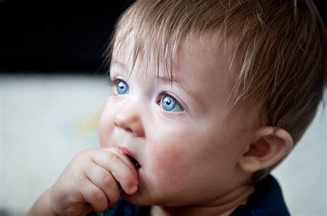 What are the Symptoms of Teething Fever and the Treatment for Teething ...