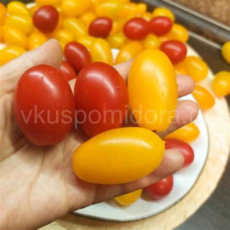 Купить семена томата сорт Груша золотая ампельная (Golden Peardrop)