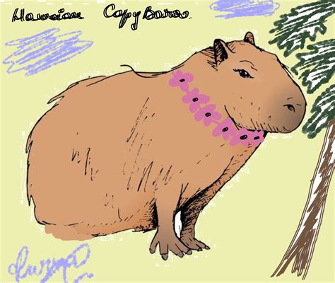 Capybara Colection by R. - Collection | OpenSea