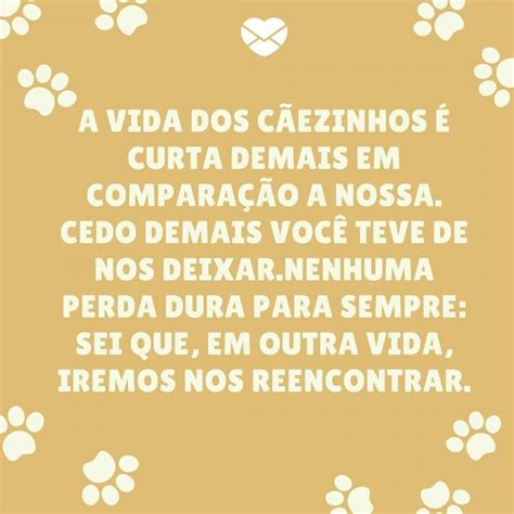 Mensagens Para Quem Perdeu Um Cachorro - 9