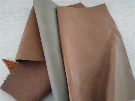 jenis jenis kulit bucini