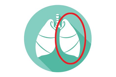 What Organs Can You Actually Live Without? | The Healthy