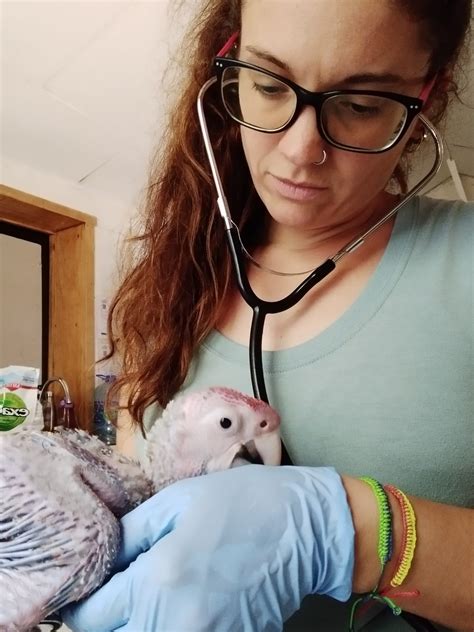 Abby & Sol: A young Macaw and her Caretaker • Macaw Recovery Network