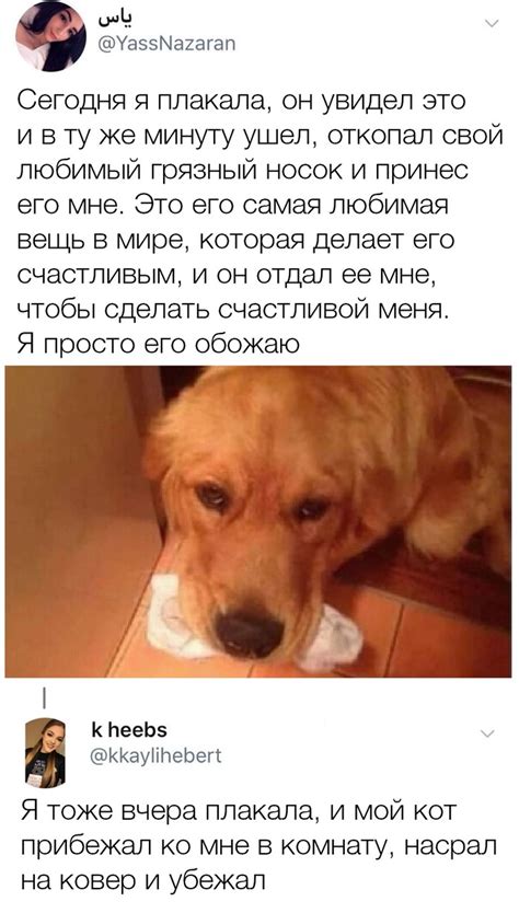 Так или иначе, плакать она перестала » Sivator.com-это увлекательный ...