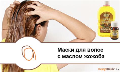 Маски для волос с маслом жожоба в домашних условиях | ХеирФейс.ру