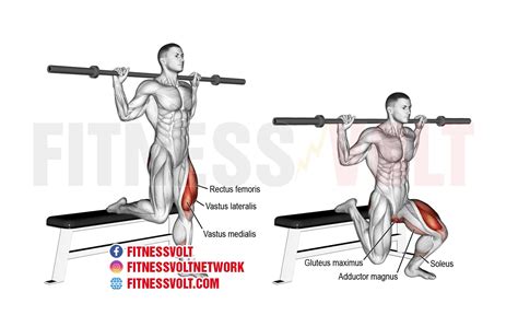 Master the Barbell Bulgarian Split Squat for Stronger Legs! – Fitness Volt