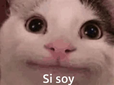 Yo GIF - Yo - Discover & Share GIFs