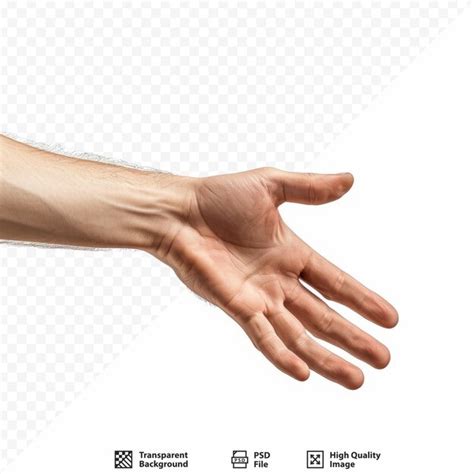 page  woman hand front psd  high quality  psd templates