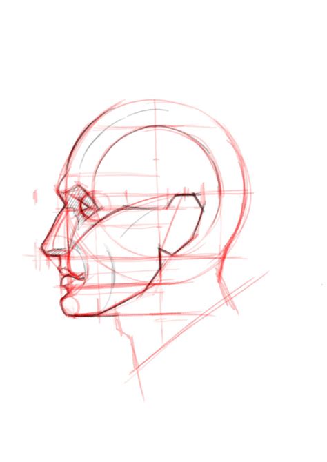 Profile Head Proportions | Portre, Çizim teknikleri, Aura renkleri
